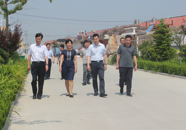 在蓬莱市大柳行镇,张波副市长一行实地查看了黄金河河道治理,生活污水